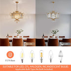 Affordable Retro Wrought Iron Glass Shade Pendant Chandelier for Dining Room/Bedroom